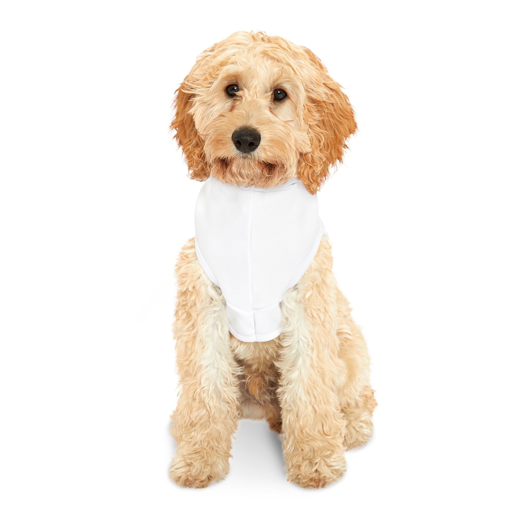 Pet Hoodie — "YAHWEH The only air I breathe" Christian Pet Hoodie with Floral Lungs Graphic